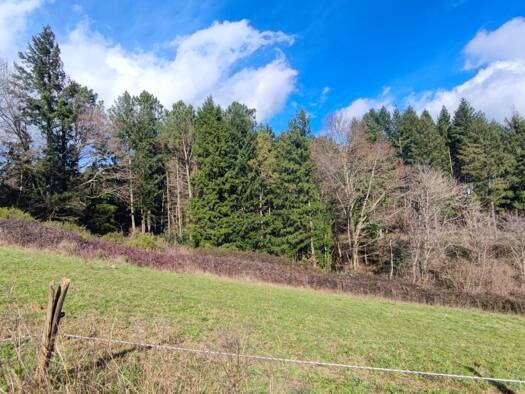 Terrain constructible à vendre 55 000 € 876 m² de terrain Pont-de-Larn 81660