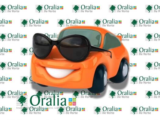 Parking à louer 55 € 14 m² Ile Verte Grenoble 38000