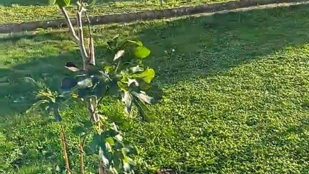 Maison à vendre 125 000 € 5 pièces 4 chambres 74 m² 790 m² de terrain Villaines-la-Juhel 53700