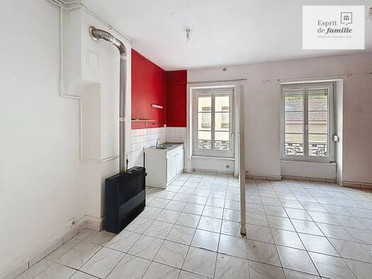 Appartement à vendre 165 000 € 3 pièces 2 chambres 55 m² Étage 1/3 Saint Clair- Quais du Rhône Caluire-et-Cuire 69300