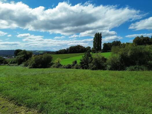 Terrain constructible viabilisé à vendre 36 163 € 841 m² de terrain Sauveterre-de-Béarn 64390