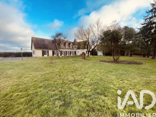 Maison à vendre 250 000 € 8 pièces 4 chambres 200 m² 5 358 m² de terrain Villermain 41240