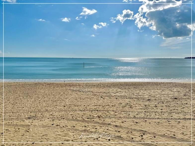 Appartement en viager occupé Bouquet 54 400 € 2 pièces 1 chambre 33 m² RDC/5 La Baule les Pins La Baule-Escoublac 44500
