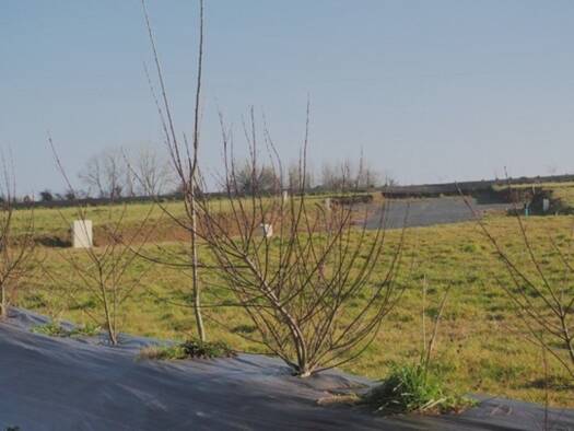 Terrain constructible viabilisé à vendre 42 649 € 727 m² de terrain Bauquay 14260