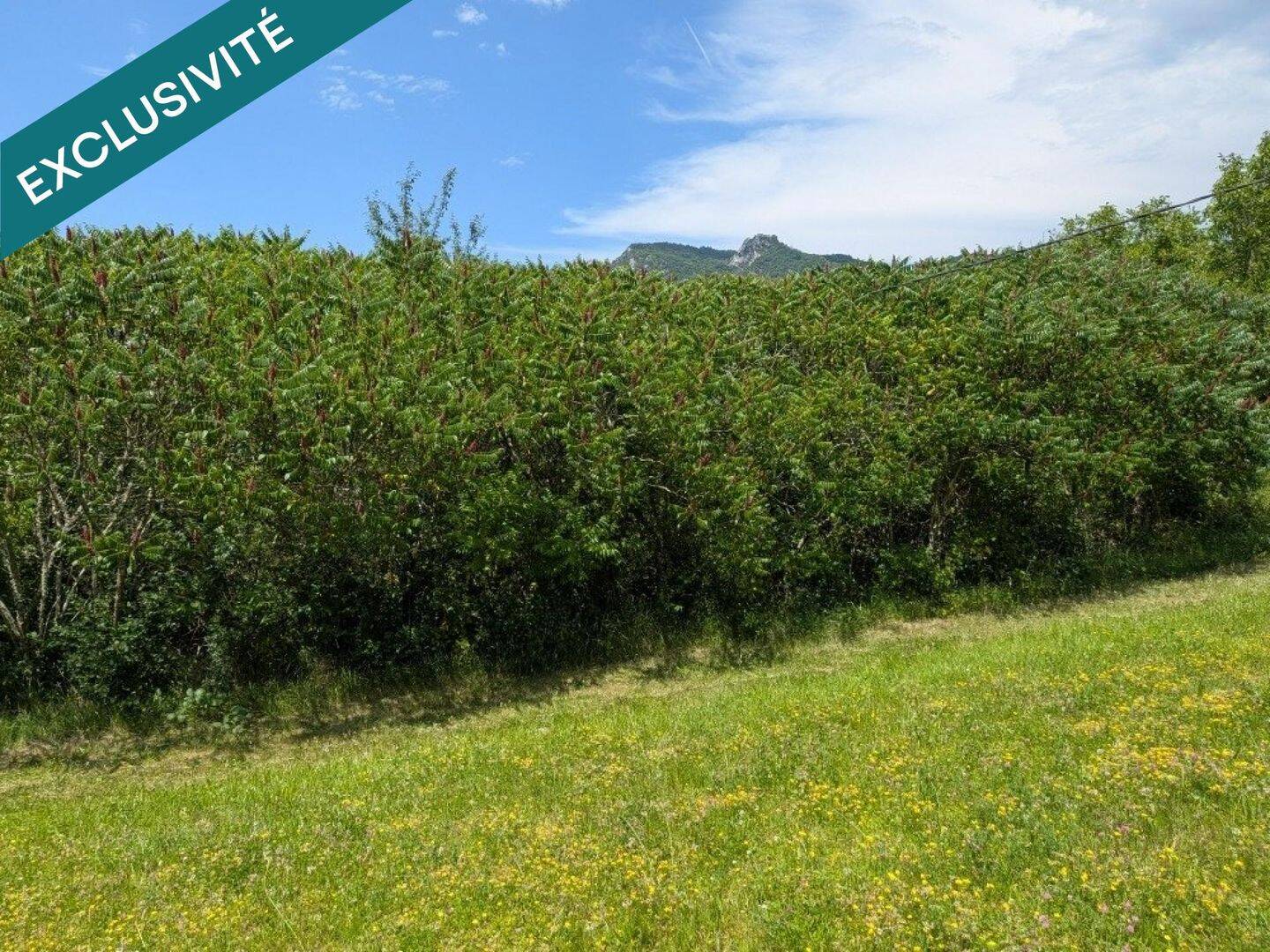 Terrain de 916 m² à Salins-les-Bains - photo 2