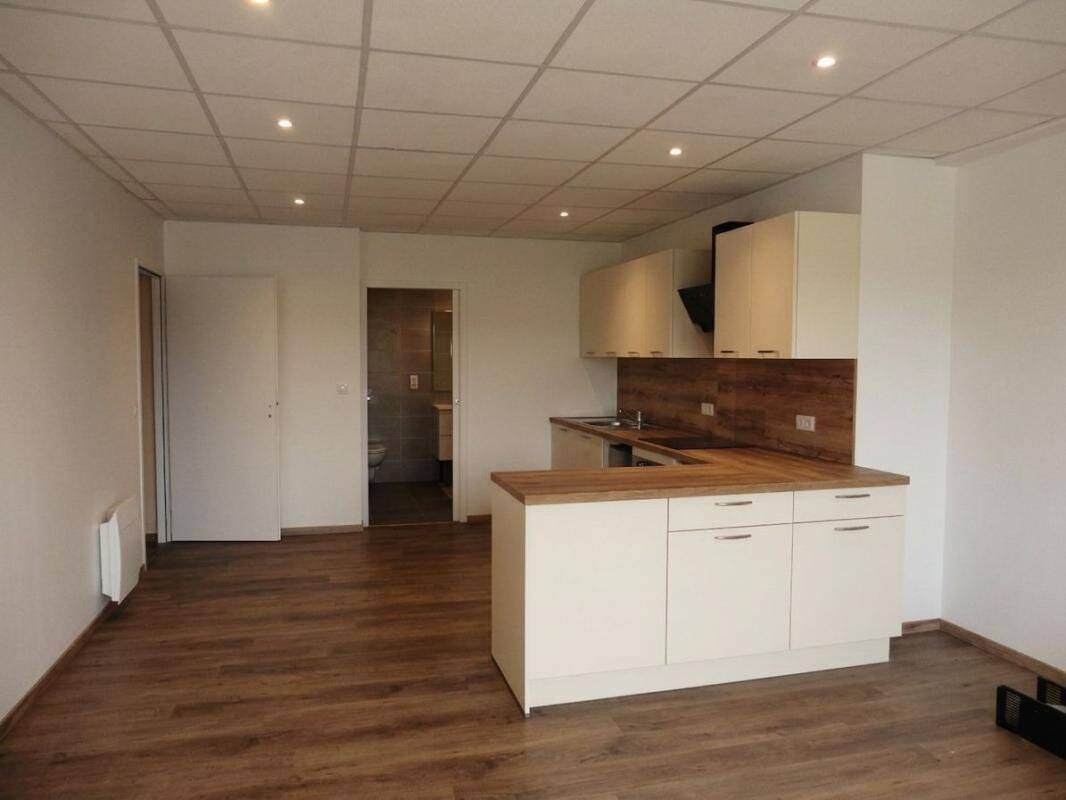 Appartement 1 pièce 46 m² · à Cosne-Cours-sur-Loire · 45,9 m² · 470 €/mois