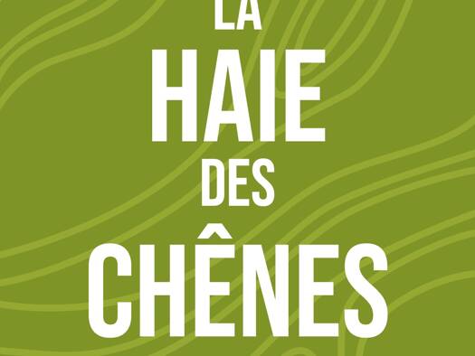 Appartement à vendre - neuf 214 000 € 2 pièces 1 chambre 45,5 m² dès le 30/06/2026 Sales 74150