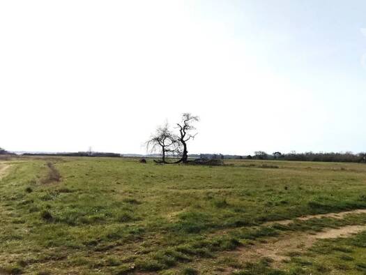 Terrain constructible à vendre - de 1.1M € 8 206 m² de terrain Montlivault 41350