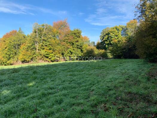 Autres à vendre 48 000 € Naves 19460