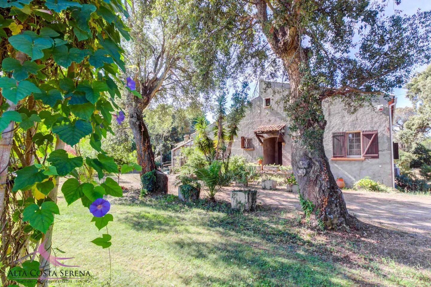 Maison 8 pièces 233 m² · à Linguizzetta · 232,8 m² · 265 000 €