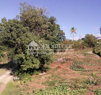 Terrain constructible à vendre 132 000 € 1 004 m² de terrain Vieux Habitants 97119