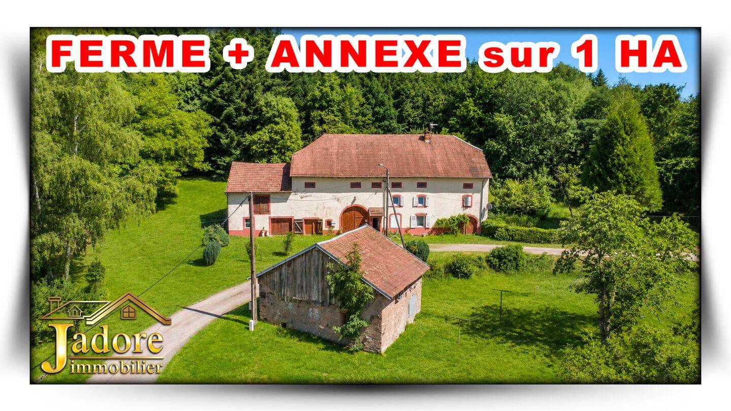 Maison 5 pièces 132 m² · à Moyenmoutier · 132 m² · 170 000 €