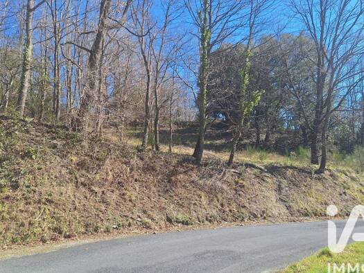 Terrain à vendre 19 500 € 22 000 m² de terrain Montferrer 66150