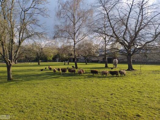 Terrain constructible à vendre 230 080 € 15 700 m² de terrain Sézanne 51120