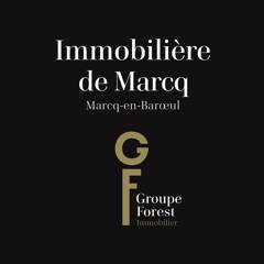 IMMOBILIERE DE MARCQ logo