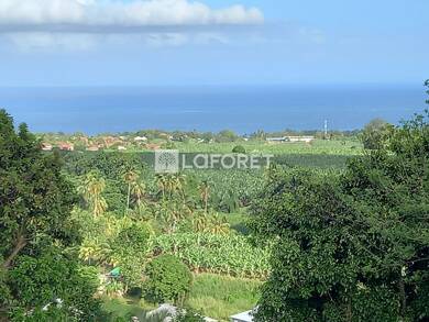 Terrain constructible à vendre 129 000 € 1 498 m² de terrain Capesterre Belle Eau 97130