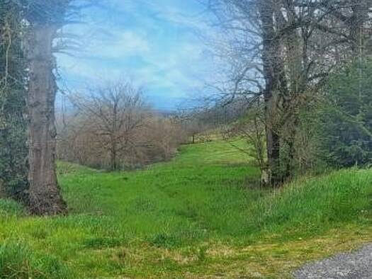 Terrain constructible à vendre 350 000 € Montfa 81210