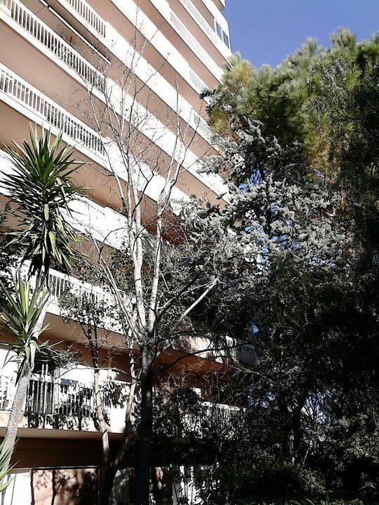 Appartement 2 pièces 28 m² · à Montpellier · 28 m² · 800 €