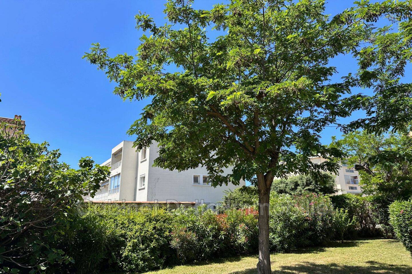 Appartement 3 pièces 65 m² · à Six-Fours-les-Plages · 65 m² · 1 250 €/mois
