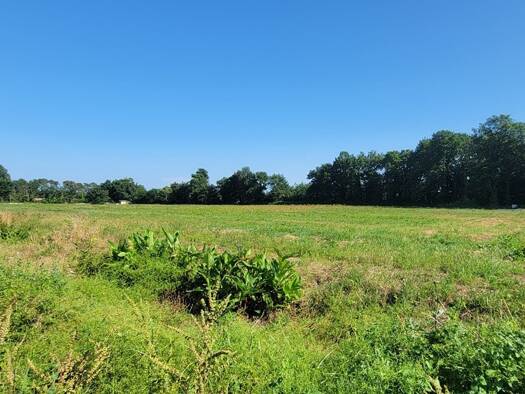 Terrain à vendre 93 732 € 585 m² de terrain Tercis-les-Bains 40180