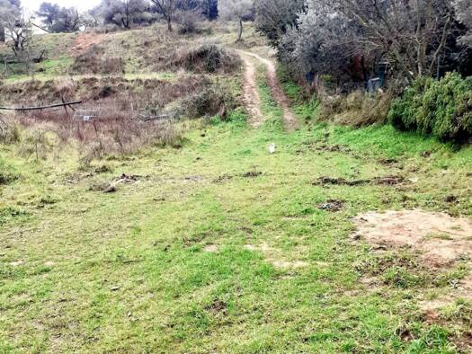 Terrain constructible à vendre 1 030 000 € 6 381 m² de terrain Peypin 13124