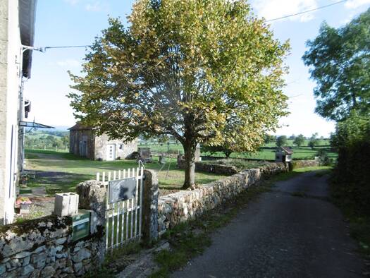 Maison à vendre 375 000 € 9 pièces 5 chambres 180 m² 3 003 m² de terrain Saint-Christophe-en-Brionnais 71800