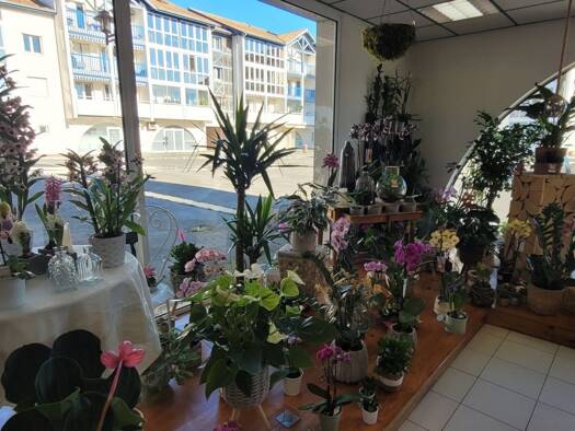 Boutique à vendre 255 000 € 2 pièces 66 m² de surface de vente Centre Tarnos 40220