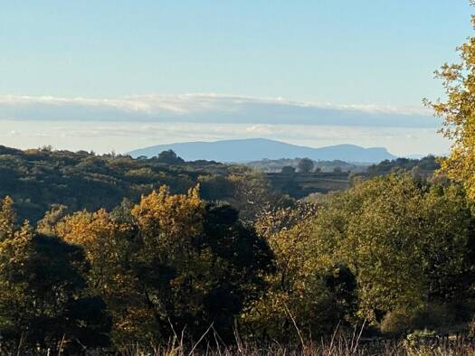 Terrain à vendre 25 500 € 7 770 m² de terrain Saint-Marcel-de-Careiret 30330