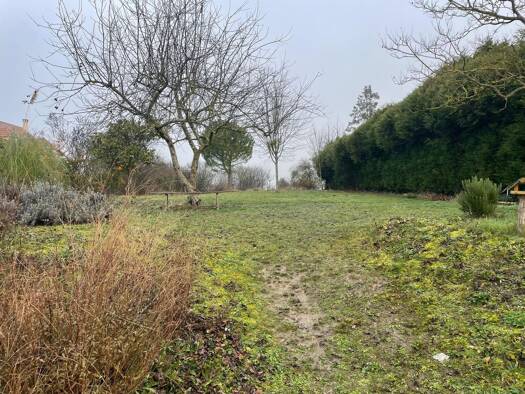 Maison à vendre - Première occupation 490 000 € 5 pièces 4 chambres 130 m² 1 567 m² de terrain Maulette 78550