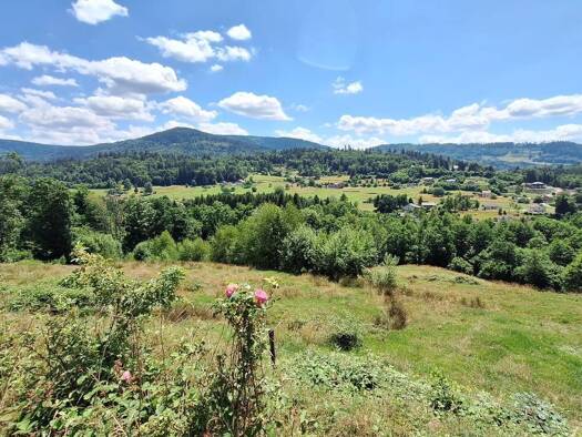 Maison à vendre 320 000 € 6 pièces 3 chambres 180 m² 9 875 m² de terrain Sapois 88120