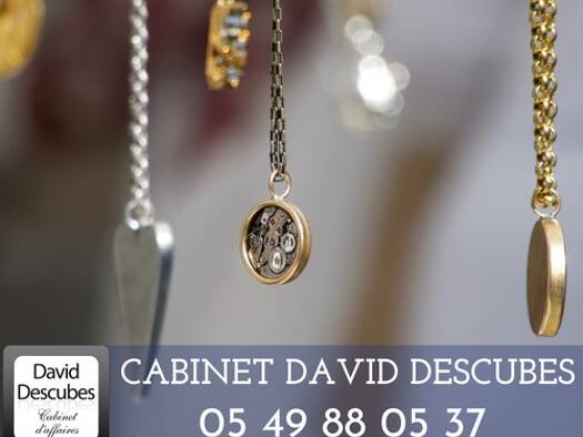 Boutique à vendre Fonds de commerce 164 400 € 40 m² de surface de vente Nantes 44000