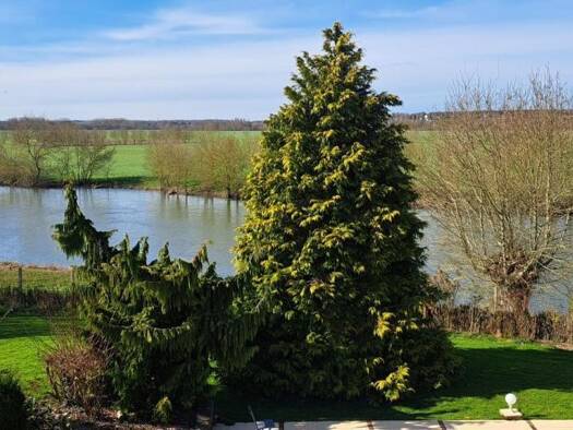 Maison à vendre 668 800 € 10 pièces 6 chambres 240 m² 2 276 m² de terrain Corzé 49140