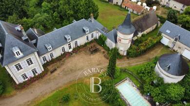 Château à vendre 850 000 € 14 pièces 9 chambres 22 000 m² de terrain Asnières Bourges 18000