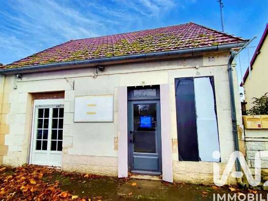 Immeuble à vendre 102 000 € 221 m² Donzy 58220