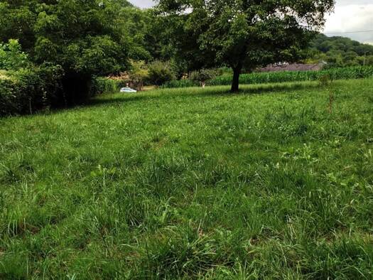 Terrain à vendre 75 000 € 2 260 m² de terrain Arros-de-Nay 64800