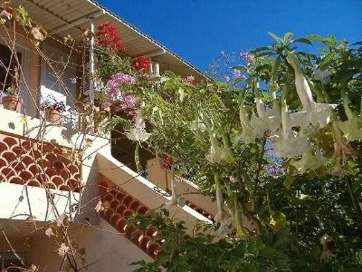 Appartement à louer 1 290 € 2 pièces 1 chambre 50 m² Saint-Laurent-du-Var 06700