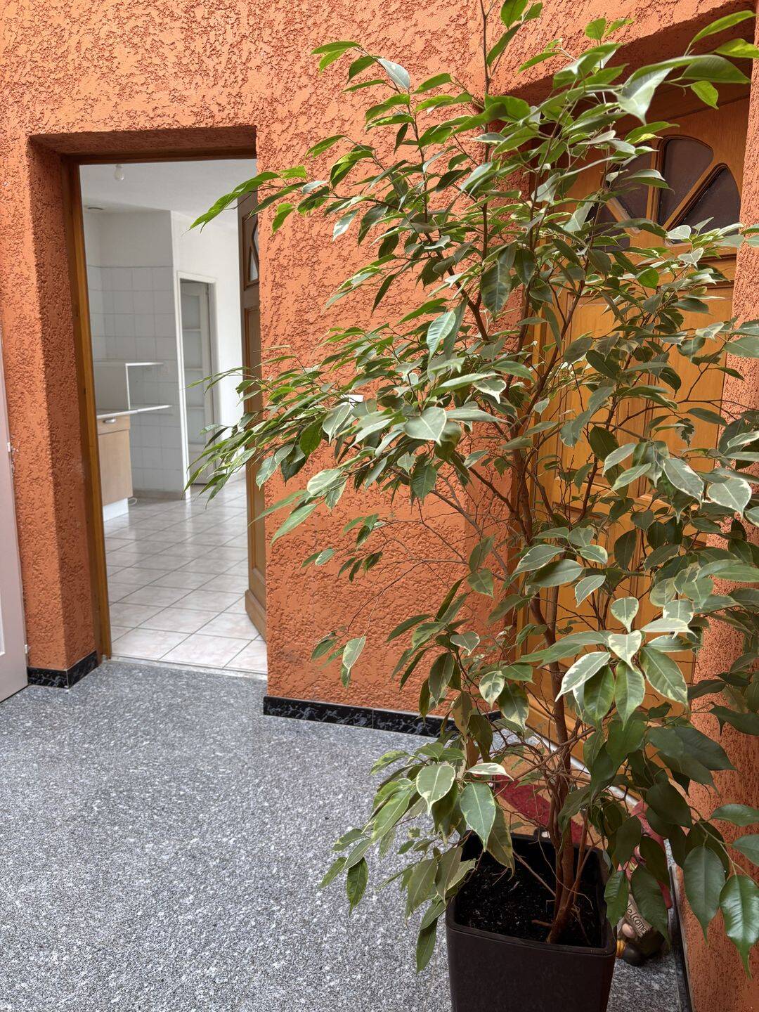 Appartement 3 pièces 57 m² · à Castelginest · 57 m² · 665 €