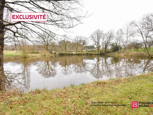 Propriété de loisirs à vendre 34 000 € 11 556 m² de terrain La Plaine 49360