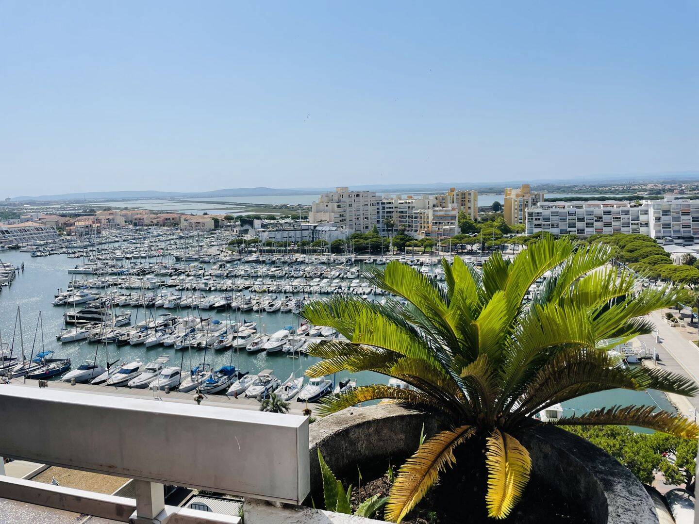 Appartement 1 pièce 30 m² · à Mauguio · 30,3 m² · 565 €