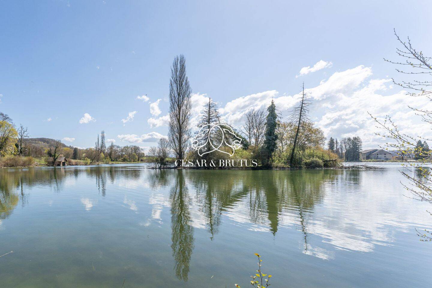 Maison 9 pièces 300 m² · à Trept · 300 m² · 1 000 000 €
