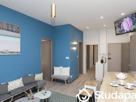 Colocation à louer 500 € 1 pièce 4 chambres 10 m² 2ème étage Centre Colmar 68000