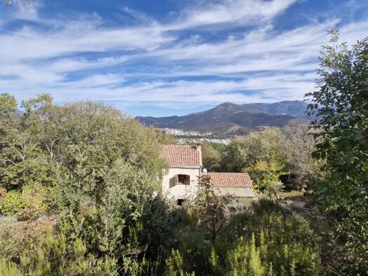 Maison à vendre 690 000 € 6 pièces 5 chambres 165 m² 7 970 m² de terrain Corte 20250