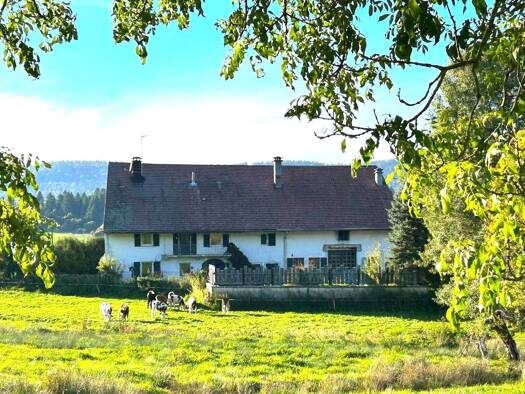 Ferme à vendre 395 000 € 6 pièces 4 chambres 168 m² 1 180 m² de terrain Grande-Rivière 39150