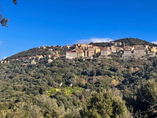 Maison de plain-pied à vendre 650 000 € 4 pièces 3 chambres 146,8 m² 1 770 m² de terrain Sartène 20100