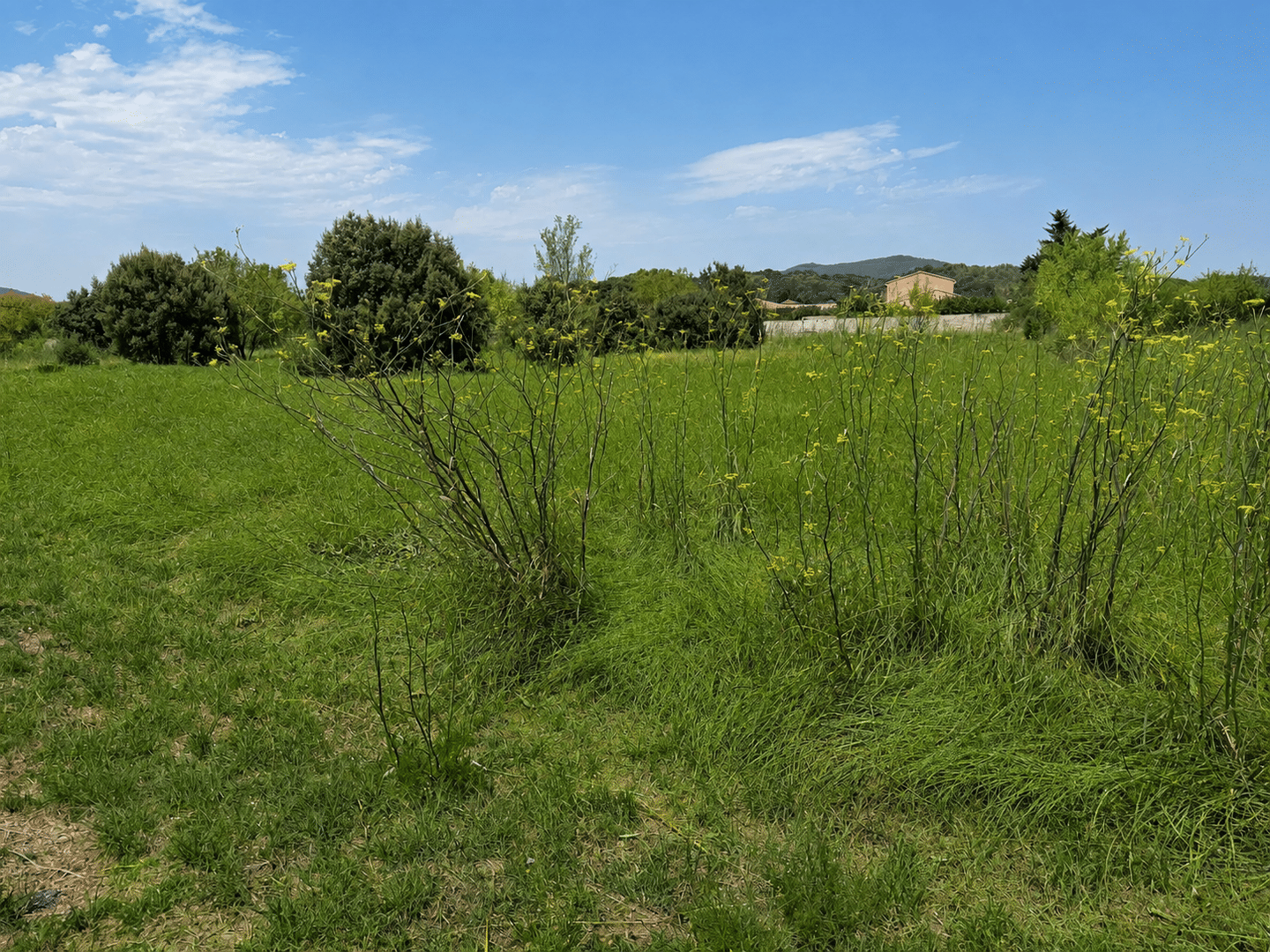 Terrain de 318 m² à Donzère - photo 2