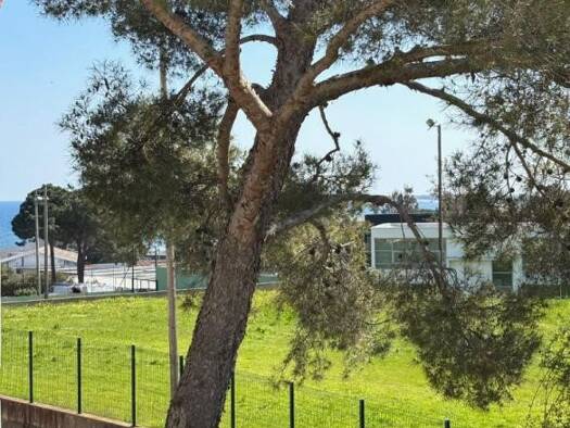 Appartement à vendre 137 600 € 3 pièces 2 chambres 60 m² RDC/1 Montesoro Bastia 20200