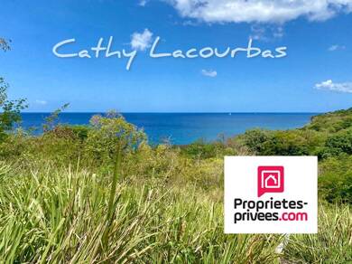 Terrain constructible à vendre 137 290 € 1 041 m² de terrain Vieux-Habitants 97119