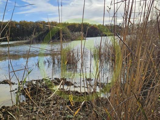 Terrain à vendre 214 000 € 72 500 m² de terrain Mézières-en-Brenne 36290
