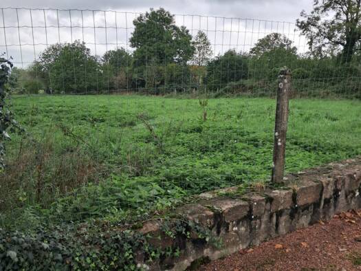 Terrain constructible viabilisé à vendre 39 000 € 2 507 m² de terrain Droiturier 03120