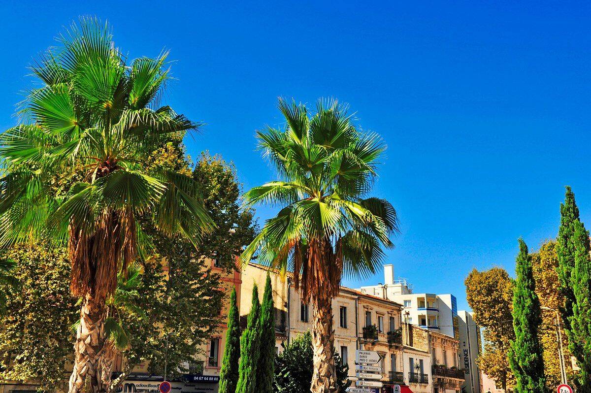 Appartement 1 pièce 22 m² · à Montpellier · 22 m² · 79 900 €